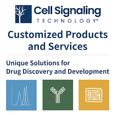 Revolutionizing Biology: The Power of Cell Signaling Technology and KRAS